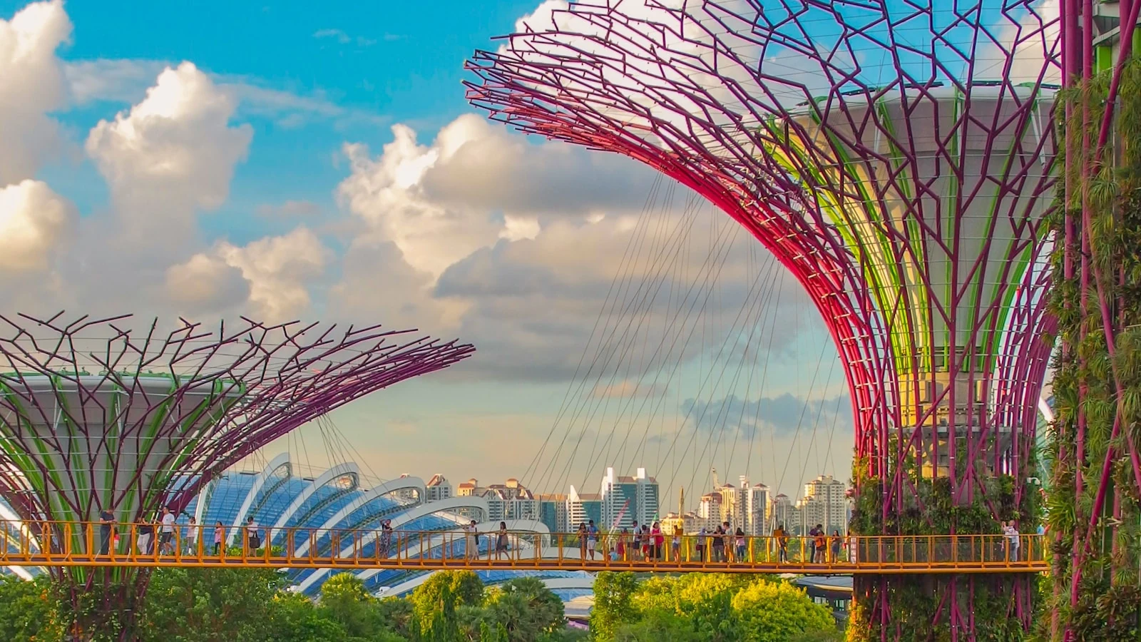 Licensing and Compliance for Singapore Food Businesses: Common Questions Answered